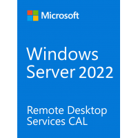 Microsoft Windows Server 2022 Client Access License - Device CAL ESD [R18-06466]