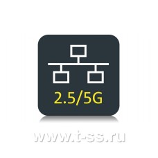 2.5G/5GBASE-T ПО для Ethernet