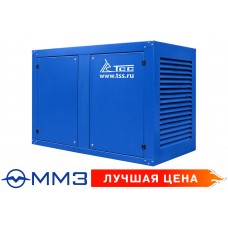 Генератор в защитном кожухе ММЗ 100 кВт с АВР TMm 140TS CTA