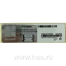 Microsoft Windows Server 2022 Datacentr Rus, ESD NO DVD [P71-09398 ]