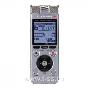 Цифровой диктофон Olympus DM-650 Silver