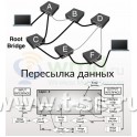 MikroTik RouterOS  WISP CPE Level 3